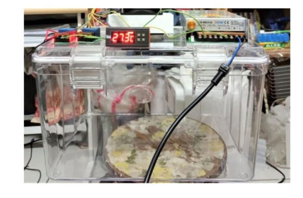 AC110V/AC220V寵物用爬蟲用,溫度控制冷熱箱(尺寸2邊扣36*28*23公分)(4邊扣40*28*10公分)