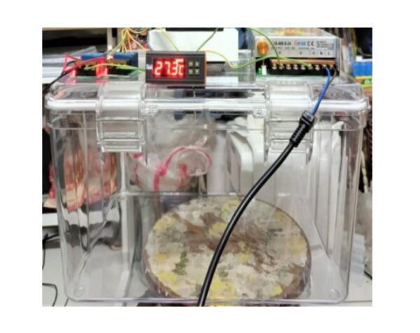 AC110V/AC220V寵物用爬蟲用,溫度控制冷熱箱(尺寸2邊扣36*28*23公分)(4邊扣40*28*10公分)